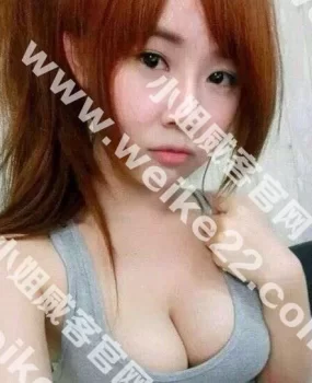 郑州航空港区张庄镇兼职